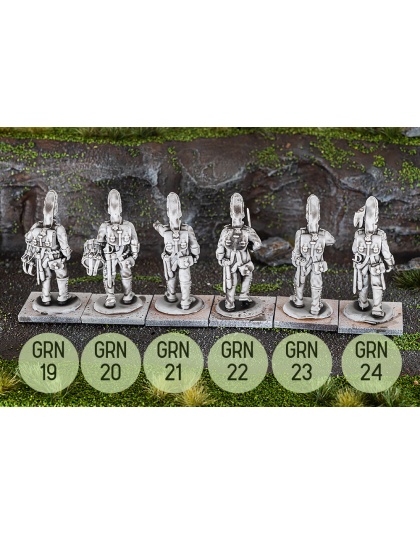 Napoleonic Spanish Grenadiers (Command)